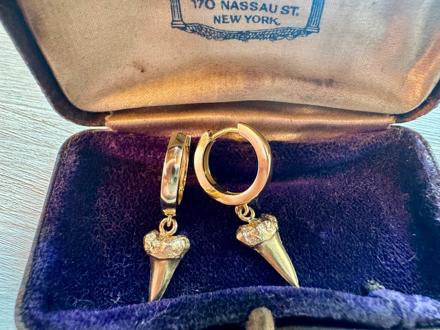14k Shark teeth earrings