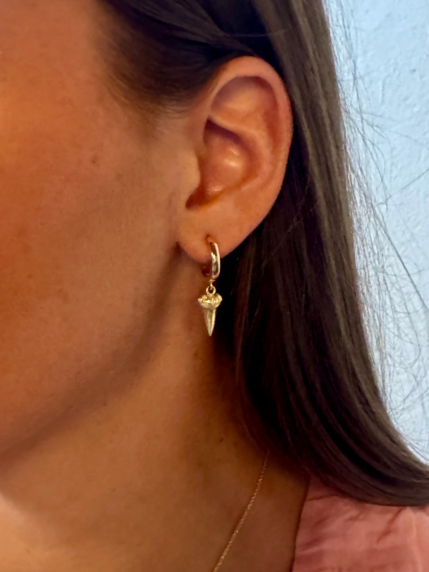 14k Shark teeth earrings