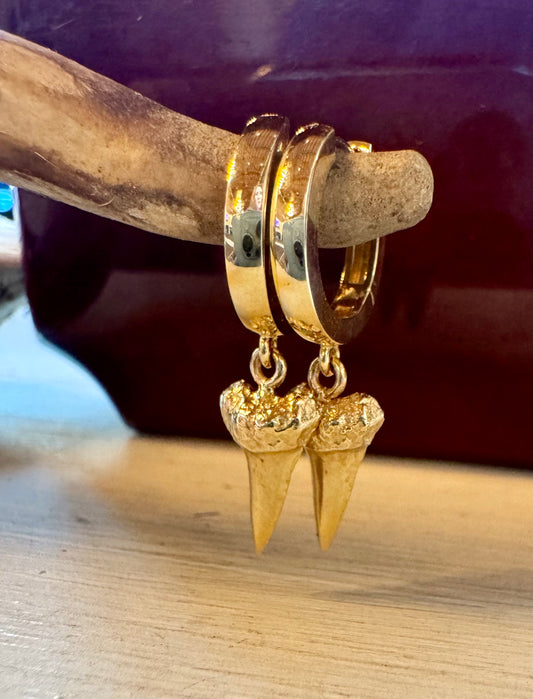 14k Shark teeth earrings